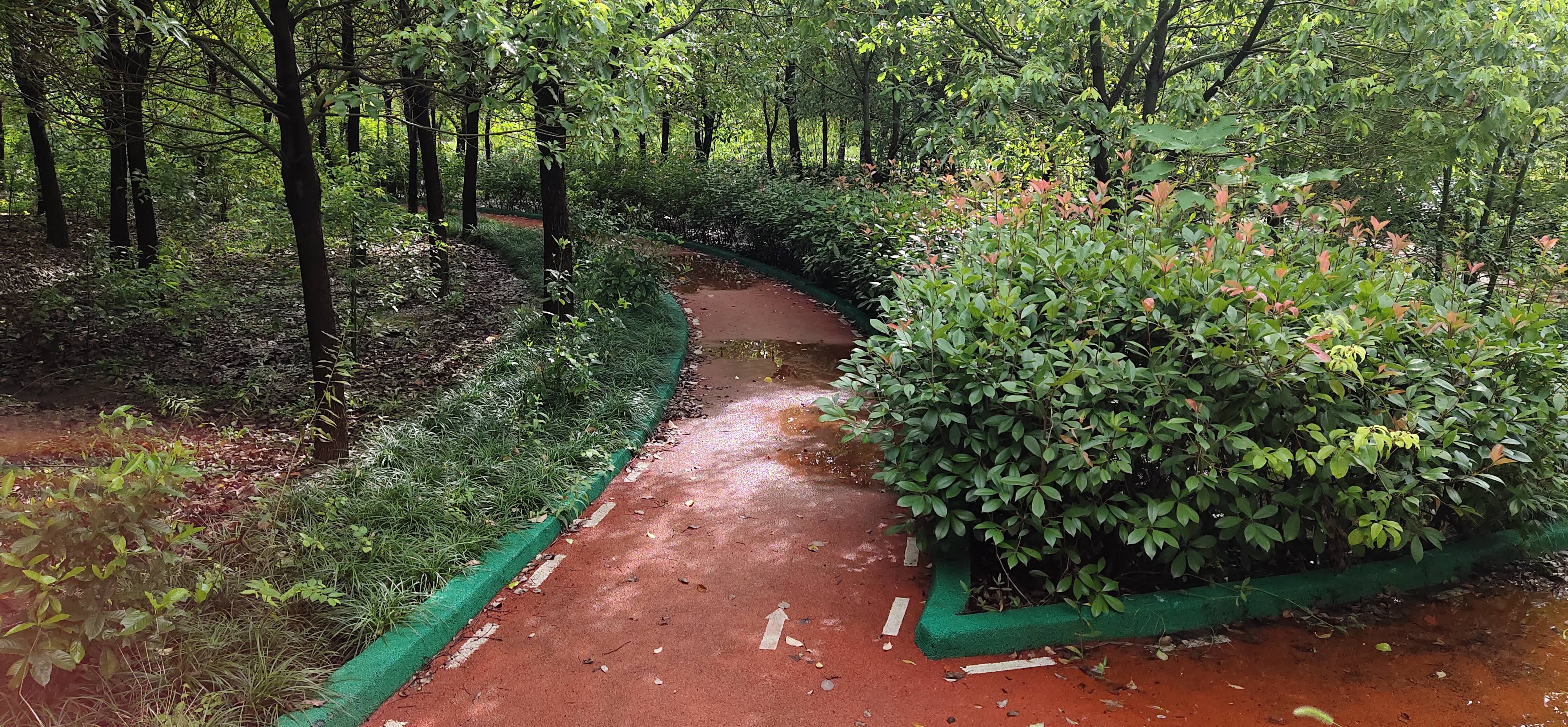 華亭鎮華高路公益林健身步道
