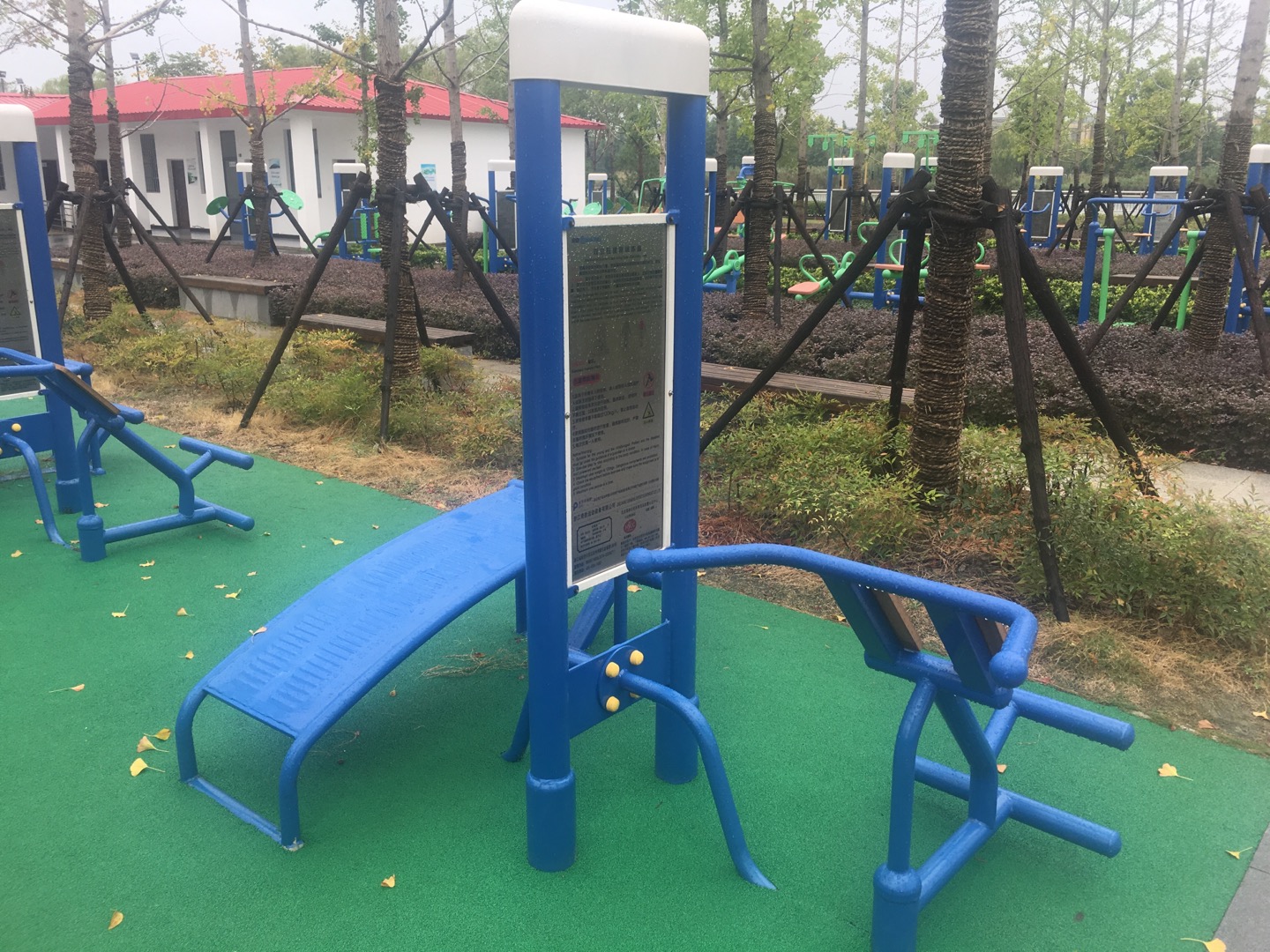 雙立柱腹背訓練器