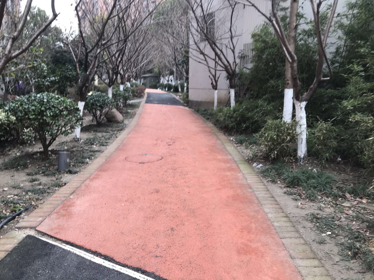 新橋鎮新鎮街市民健身步道
