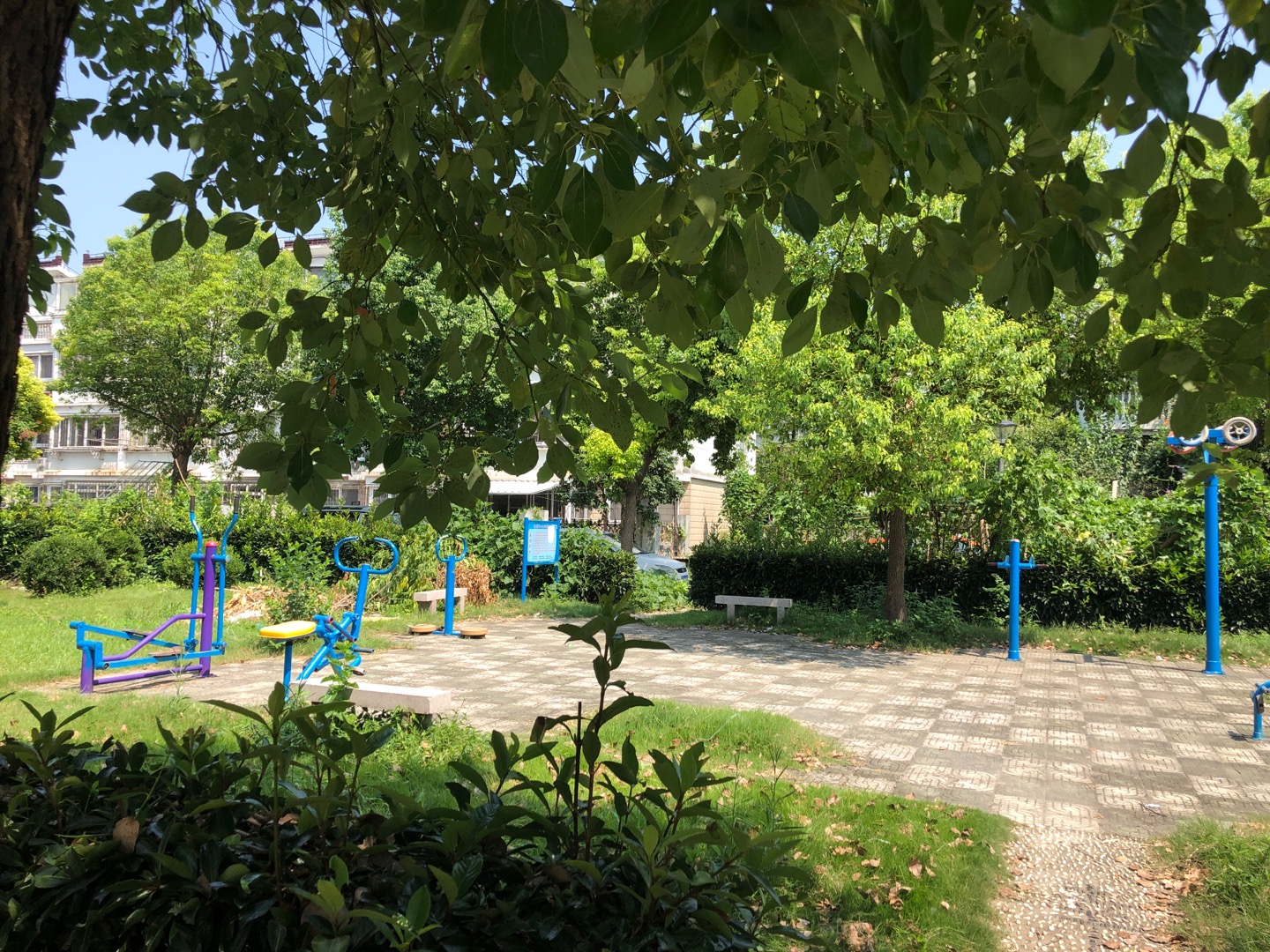 中心村健身點