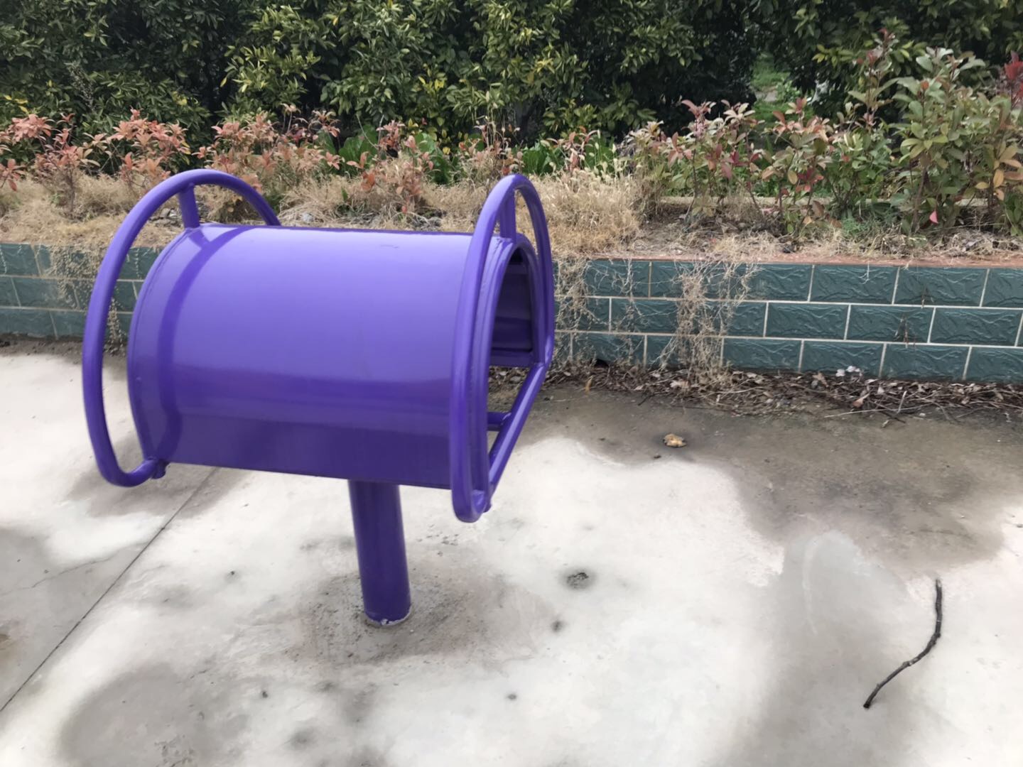 伸背器