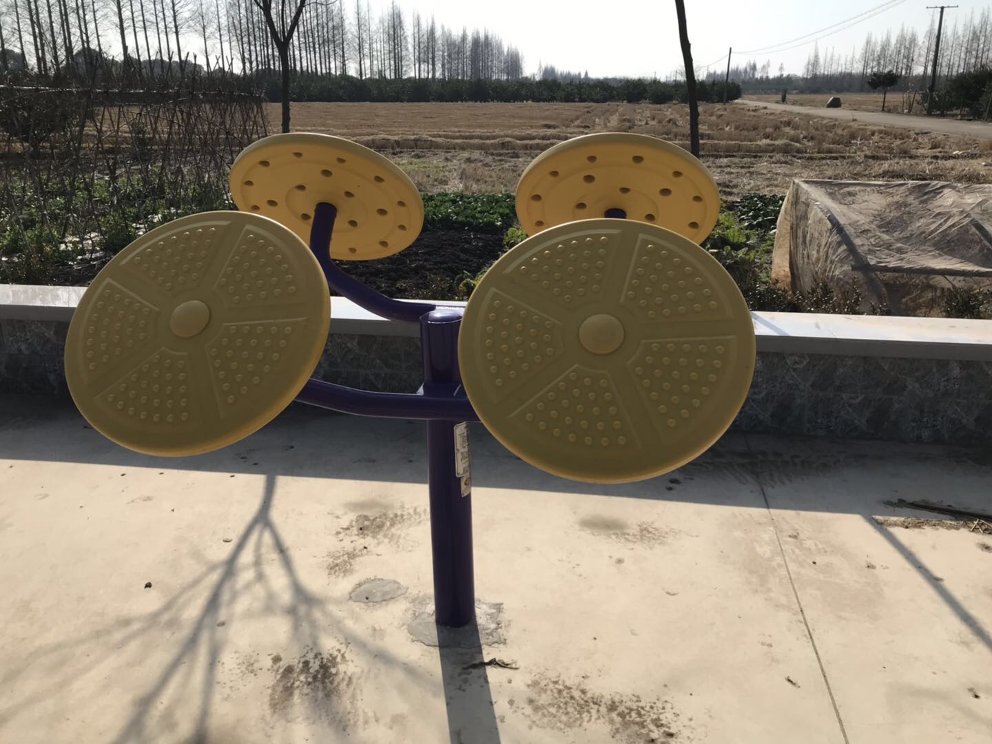 輪盤訓練器