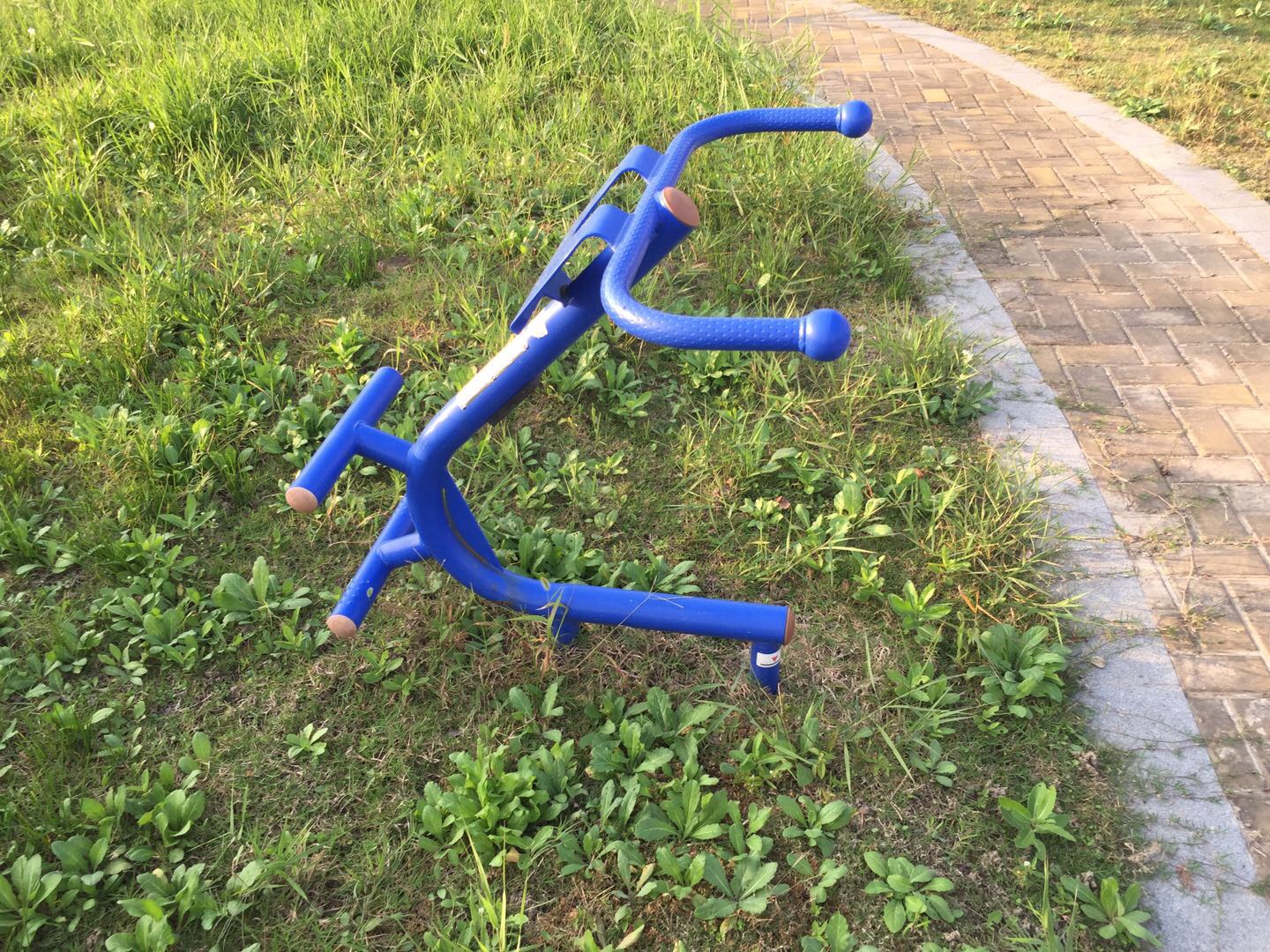 背肌訓練器