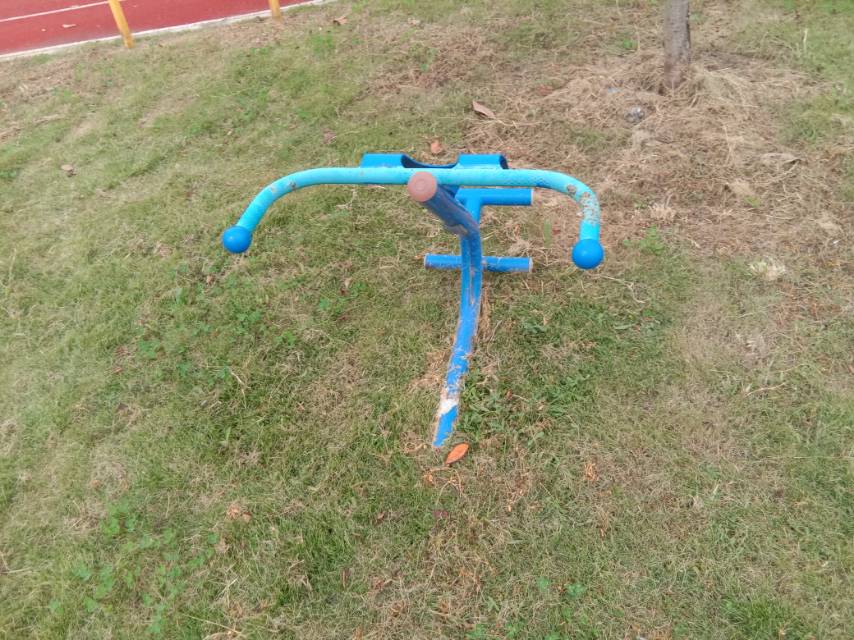 背肌訓練器
