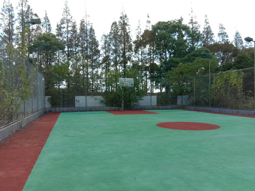 向化鎮公共球場