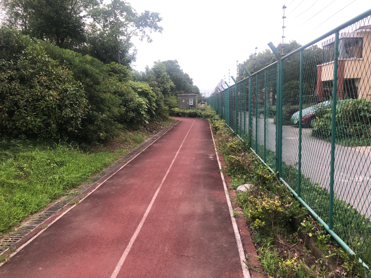 新葉村第一健身步道