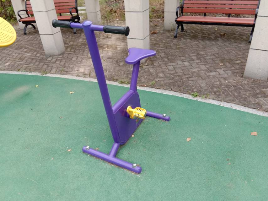 雙位健身車