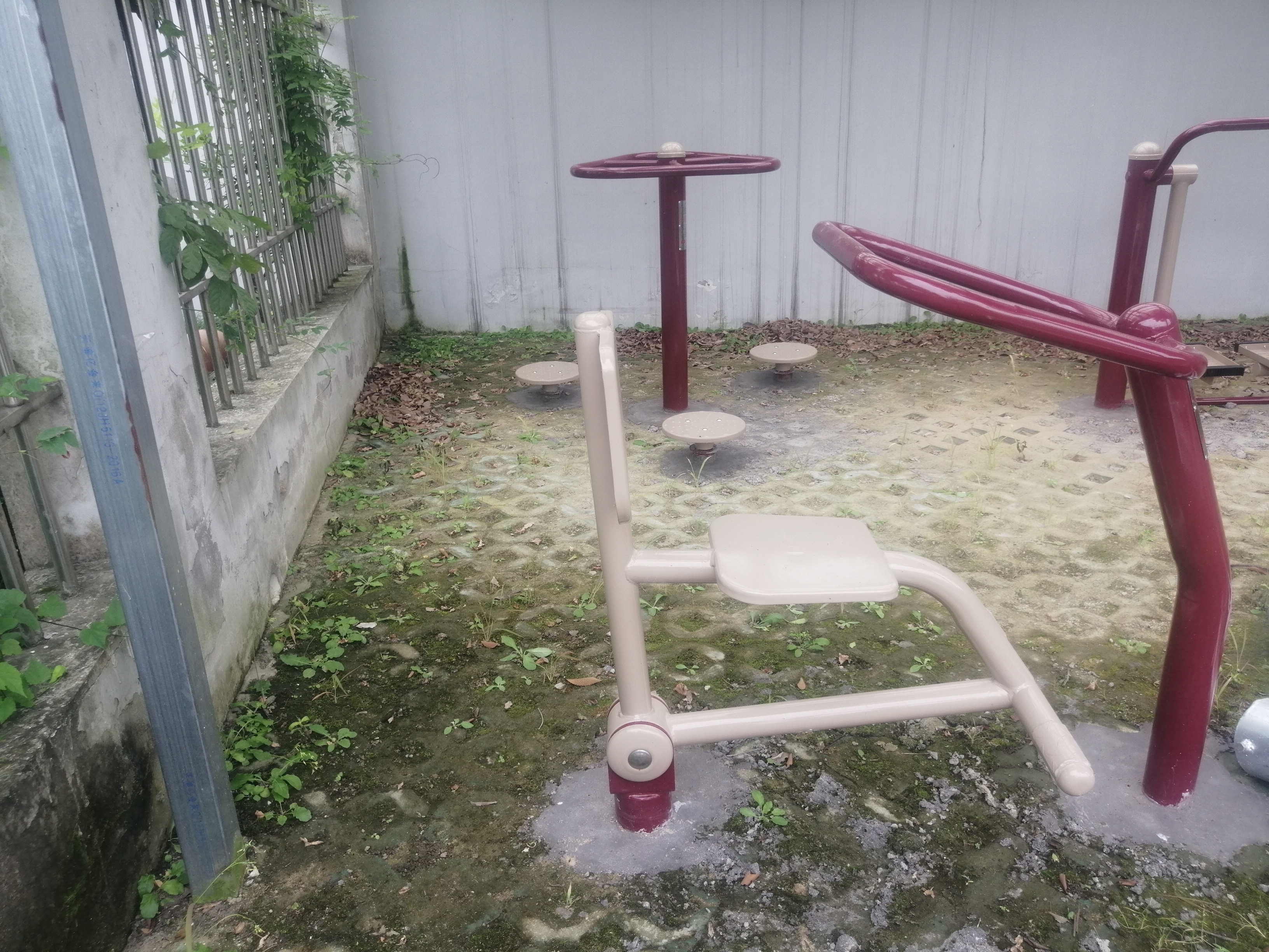 伸展器