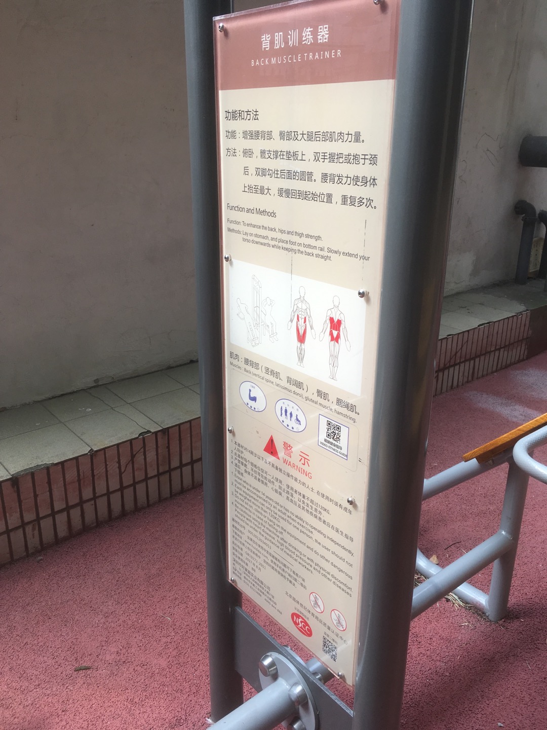 背腹肌訓練器
