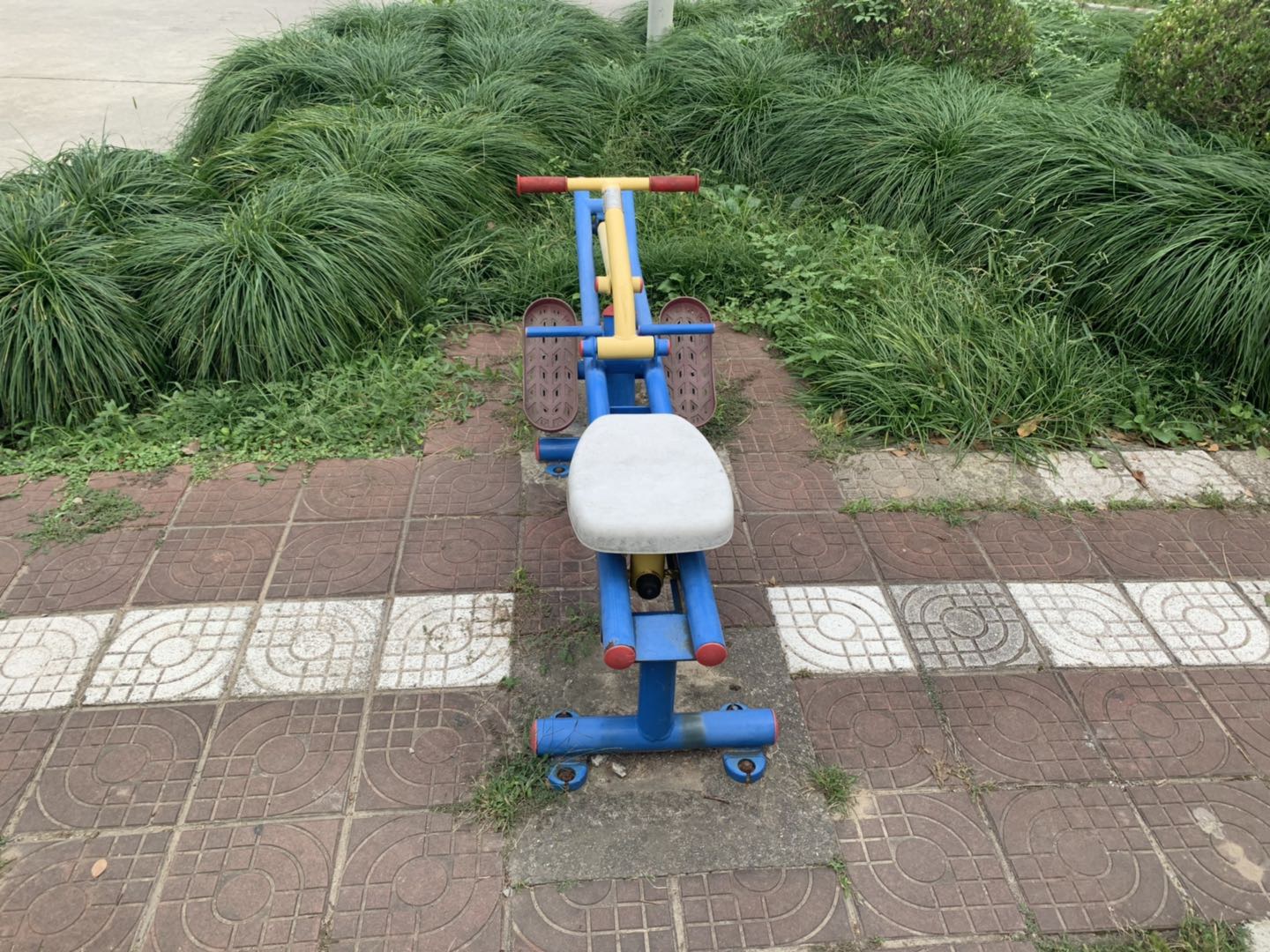 賽艇