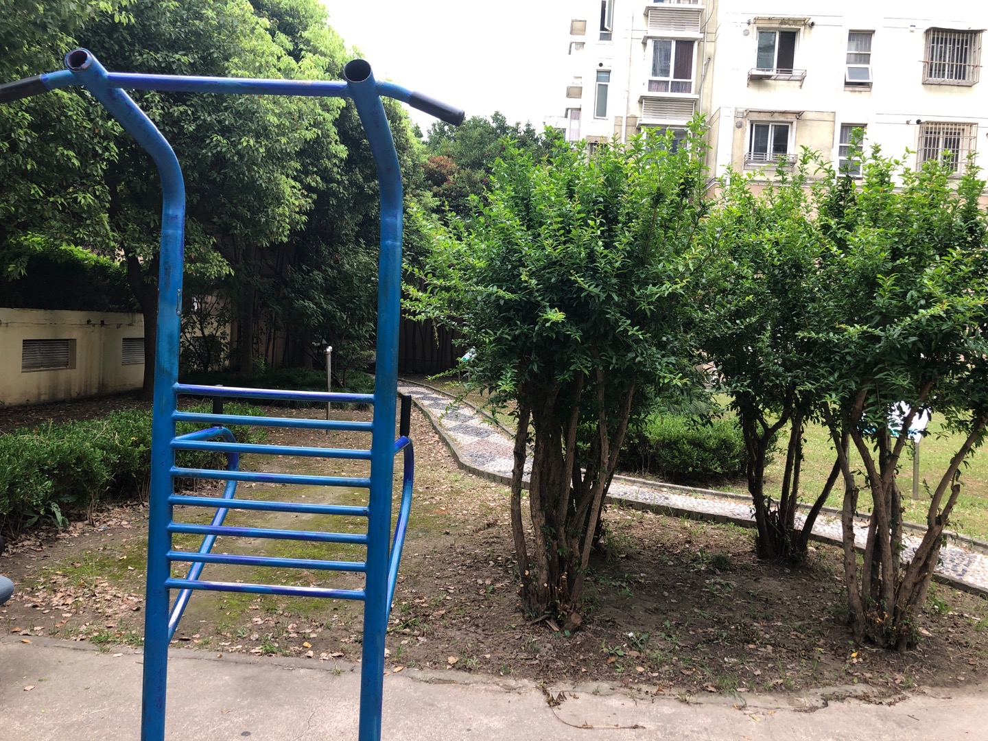 上肢鍛煉器