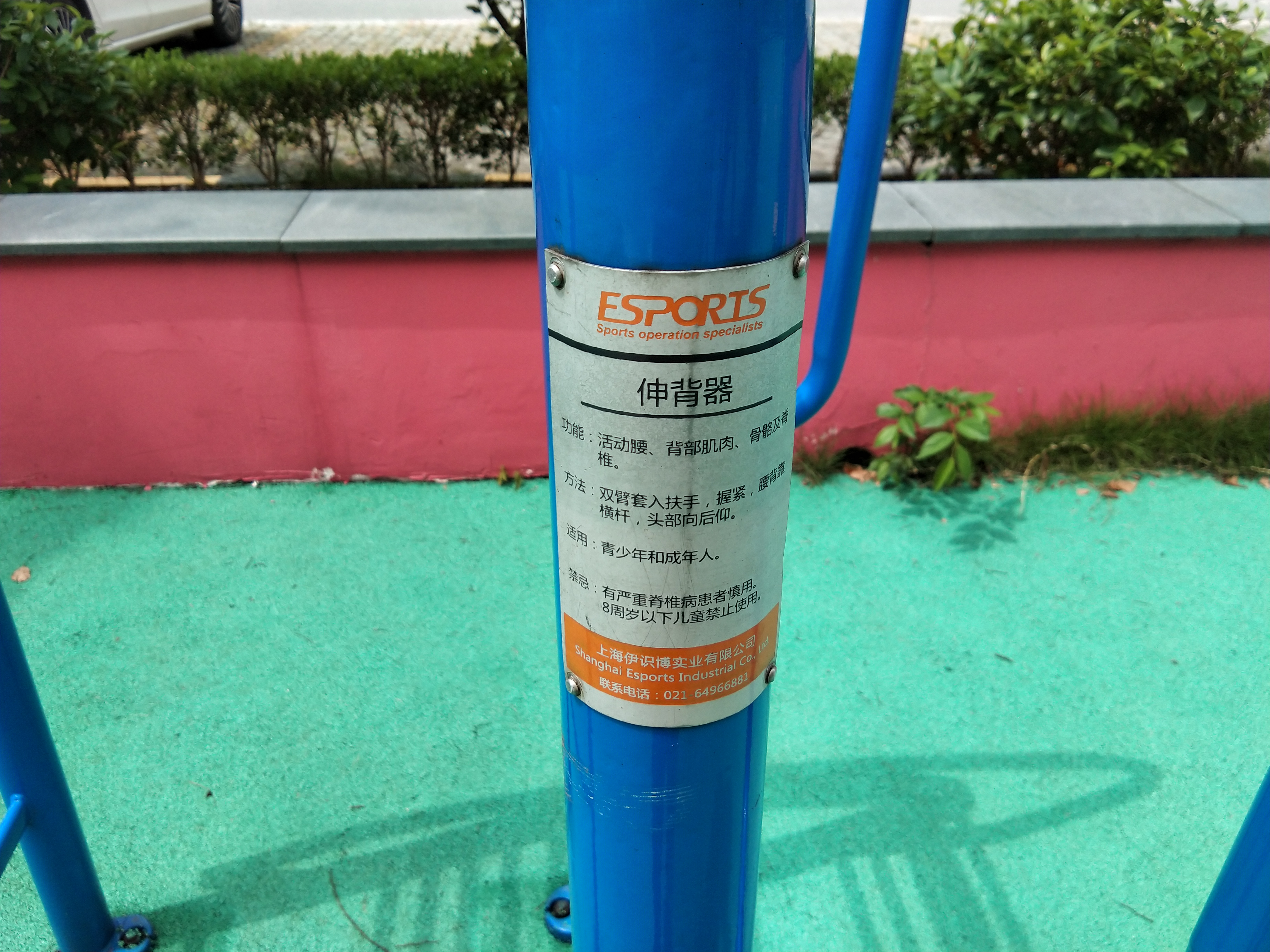 伸腰器