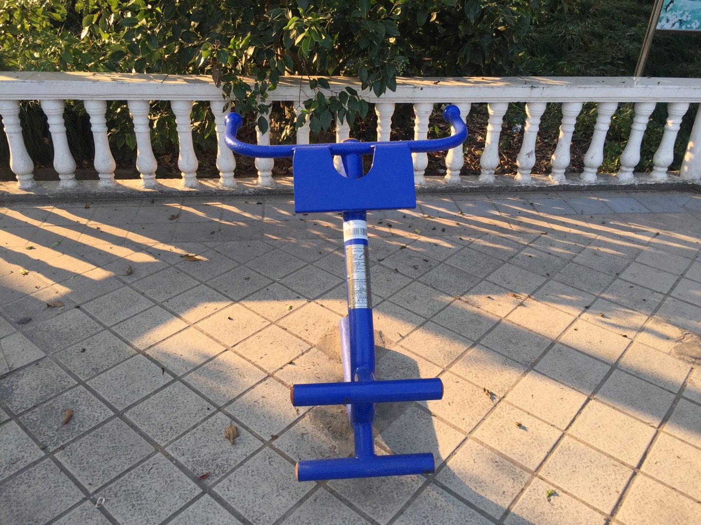 背肌訓練器