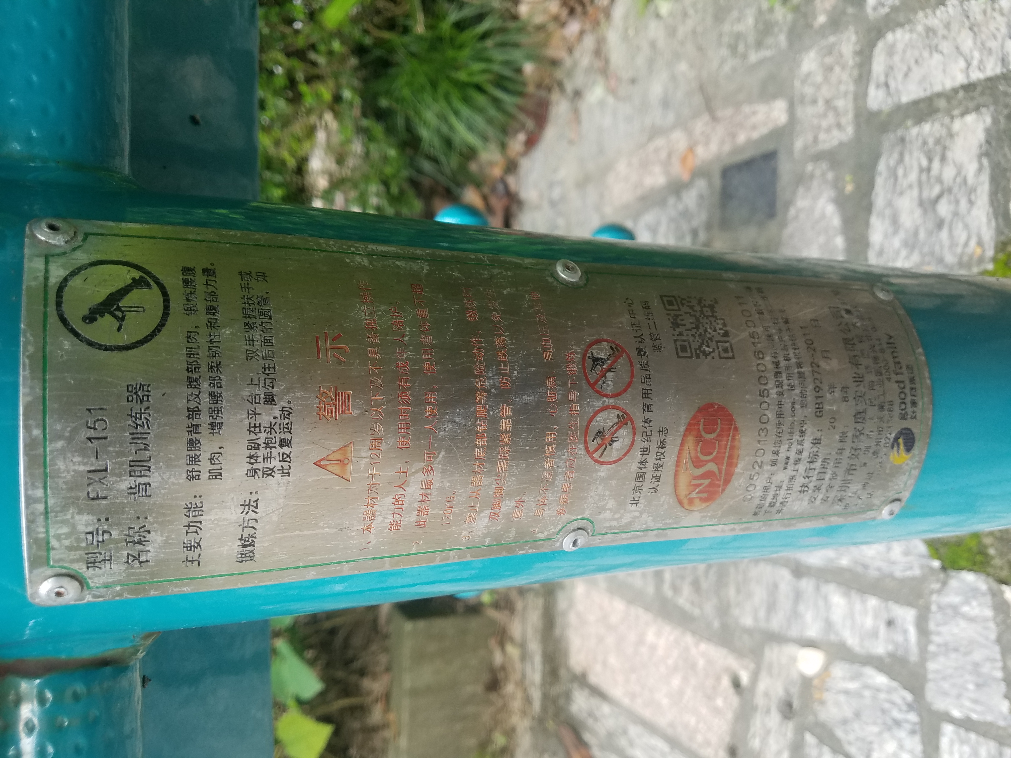 背肌訓練器