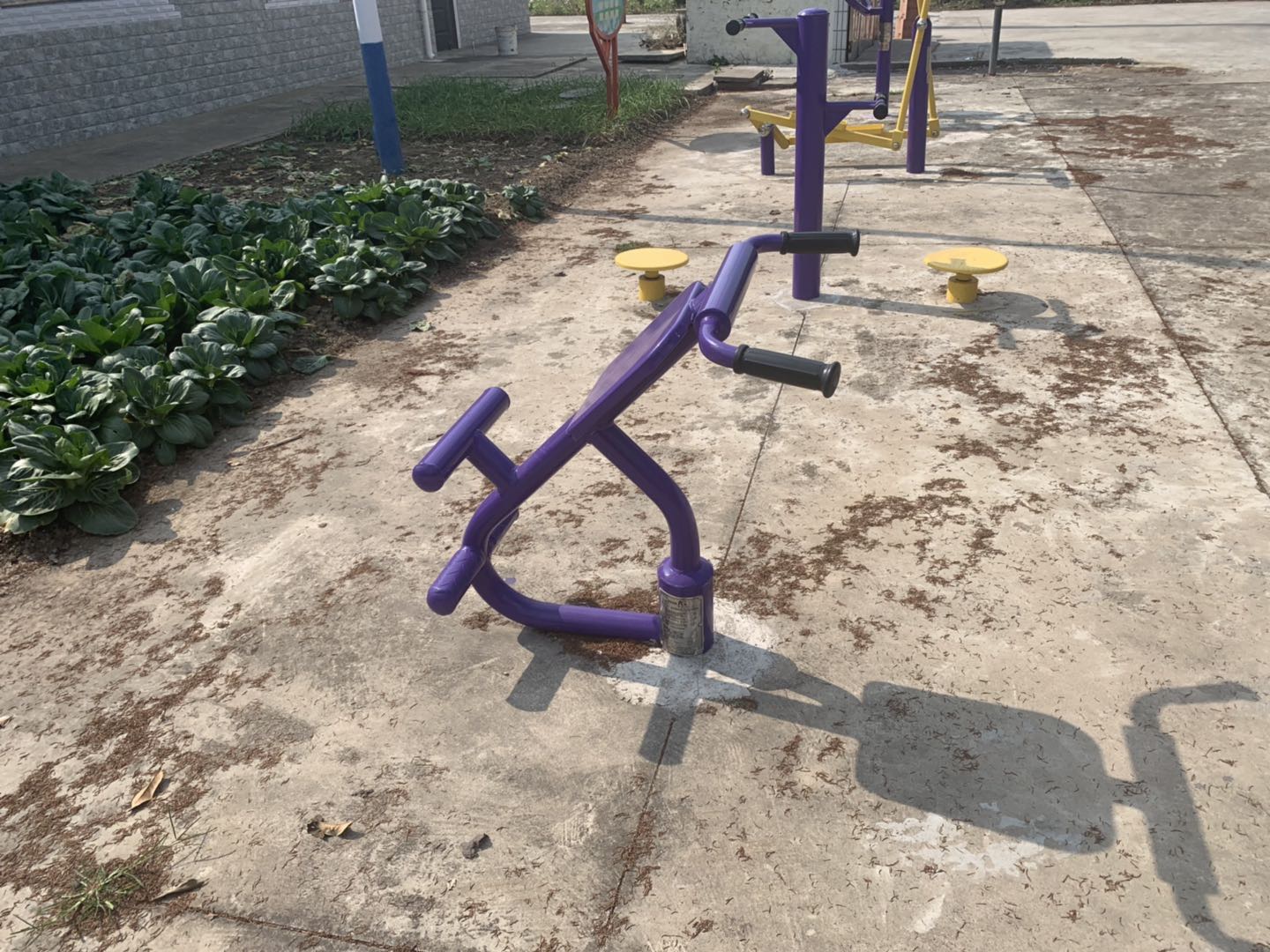 背肌訓練器