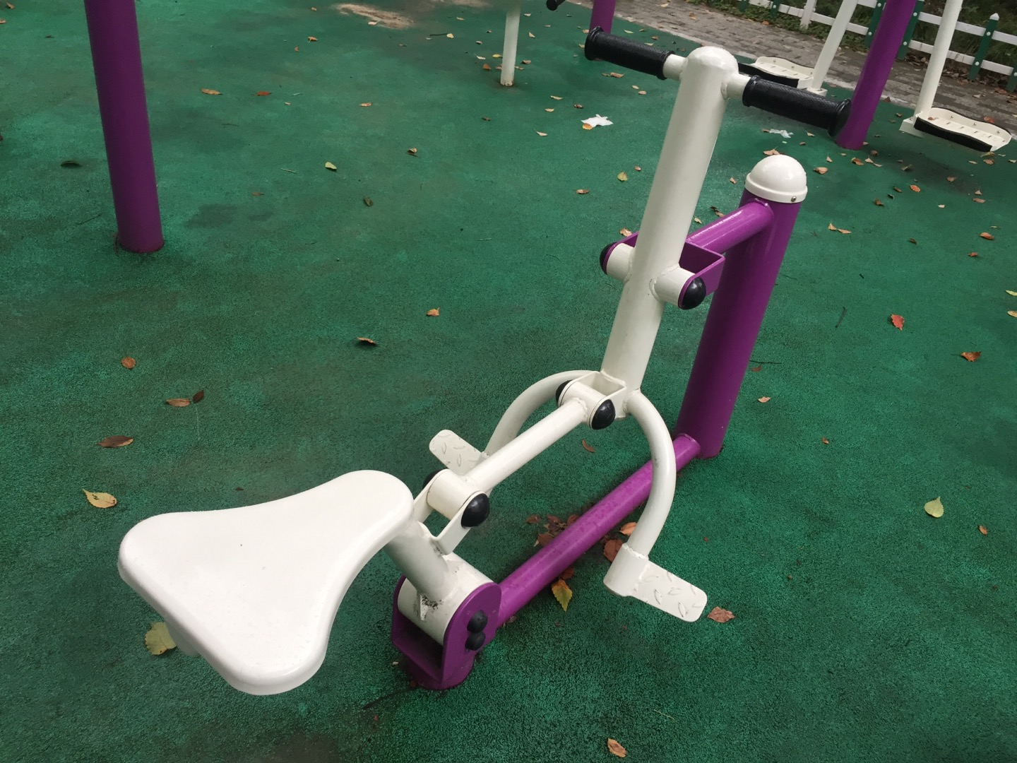 雙位健騎機
