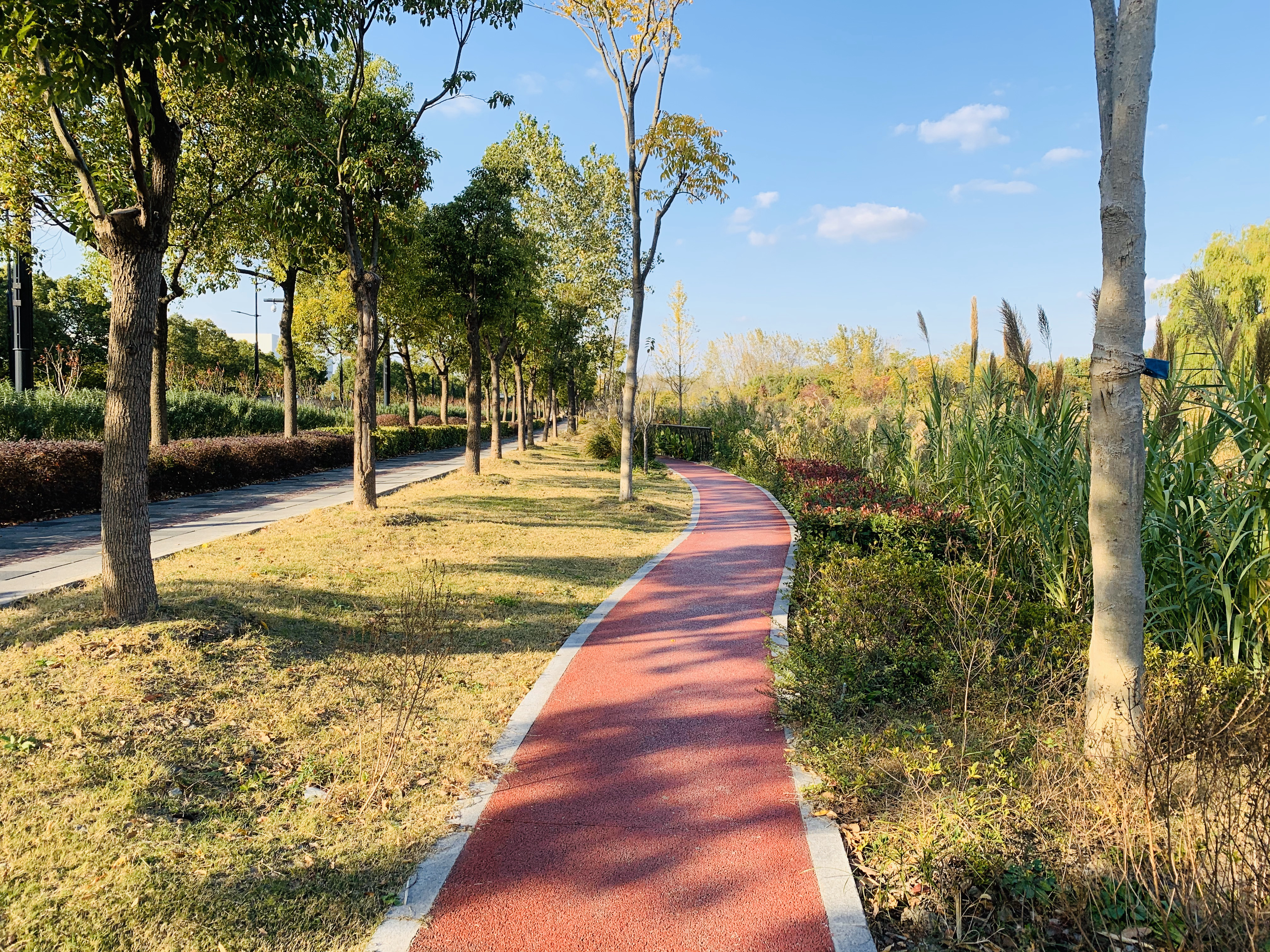 外環西河市民健身步道（二期）