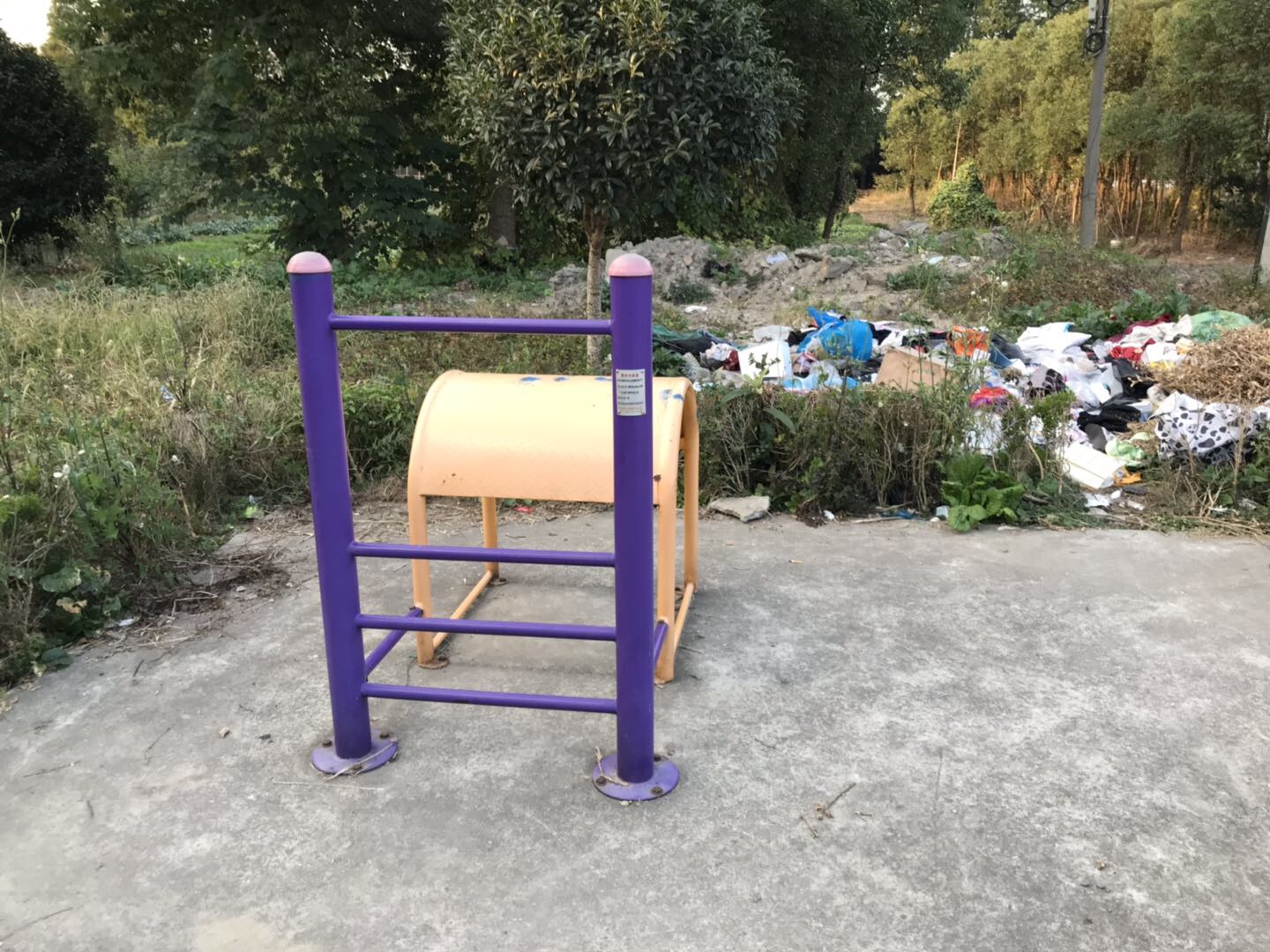 腰背伸展器