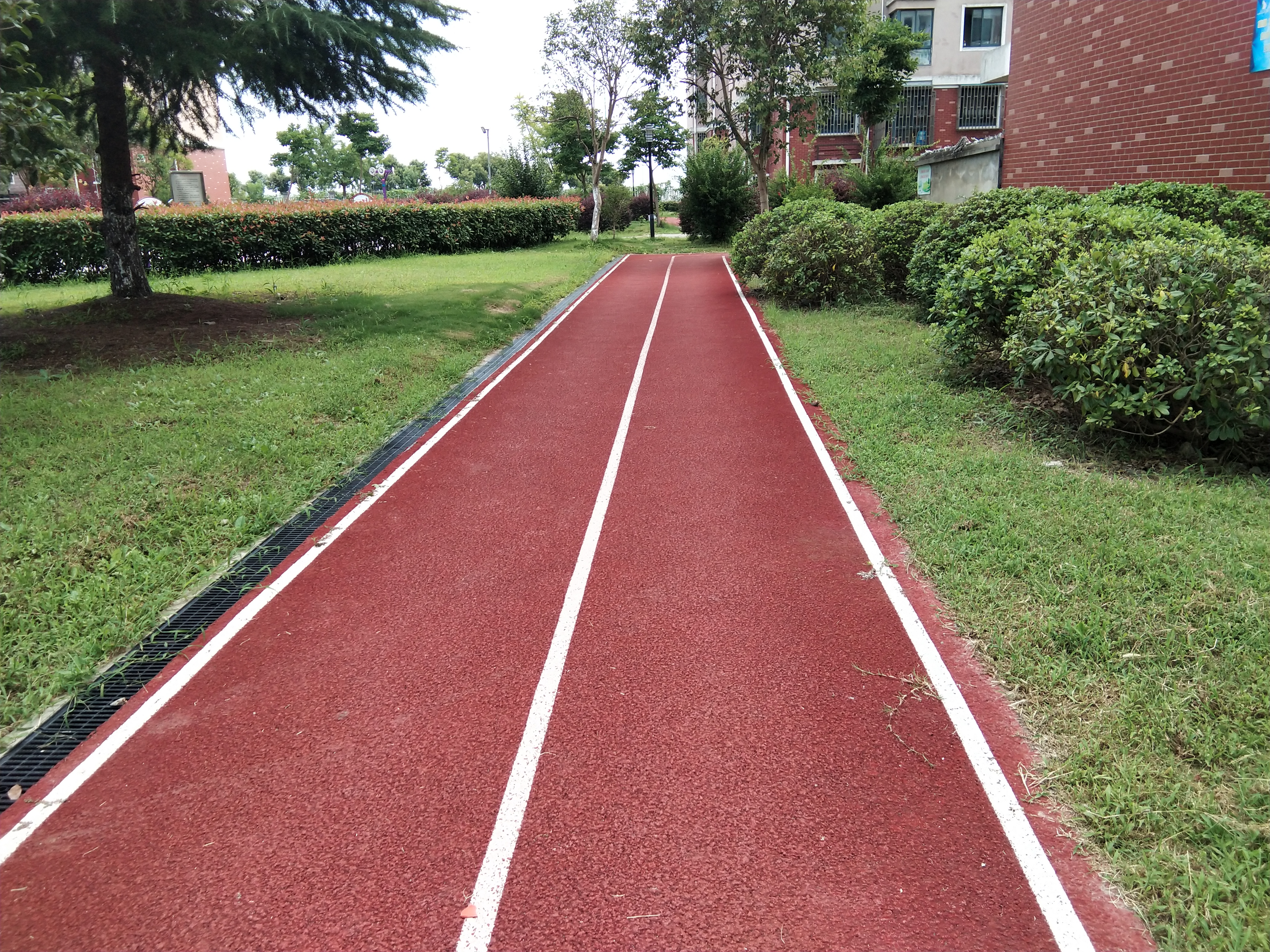 四團鎮濱河小區市民健身步道