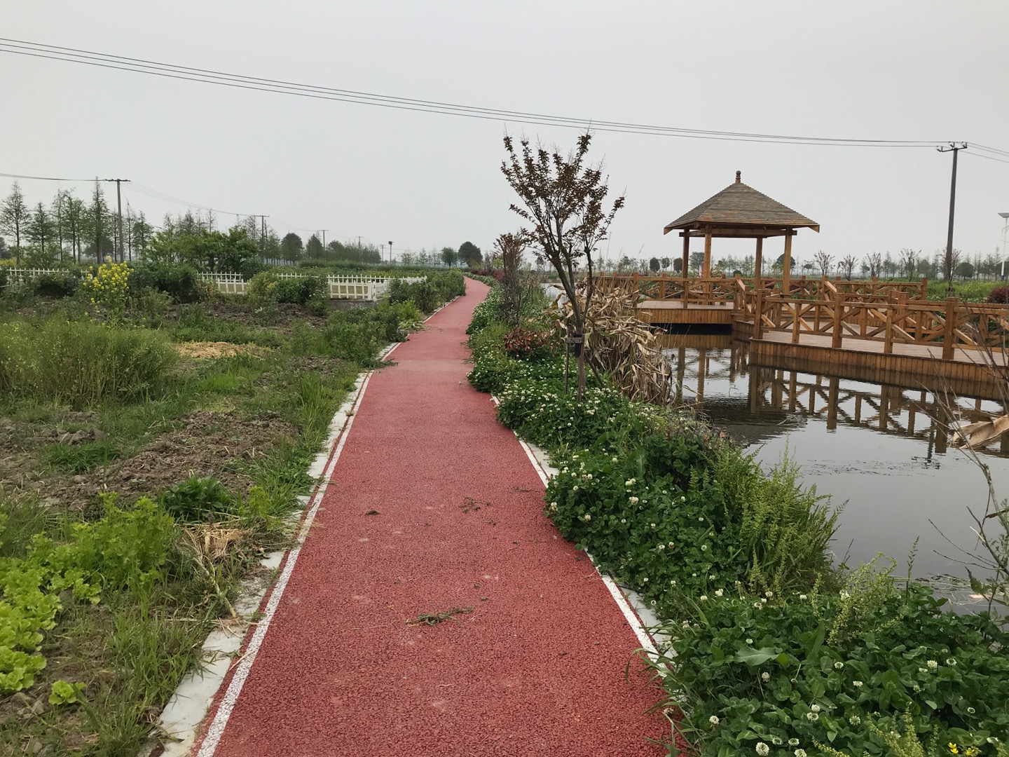 金澤鎮雙祥村健身步道