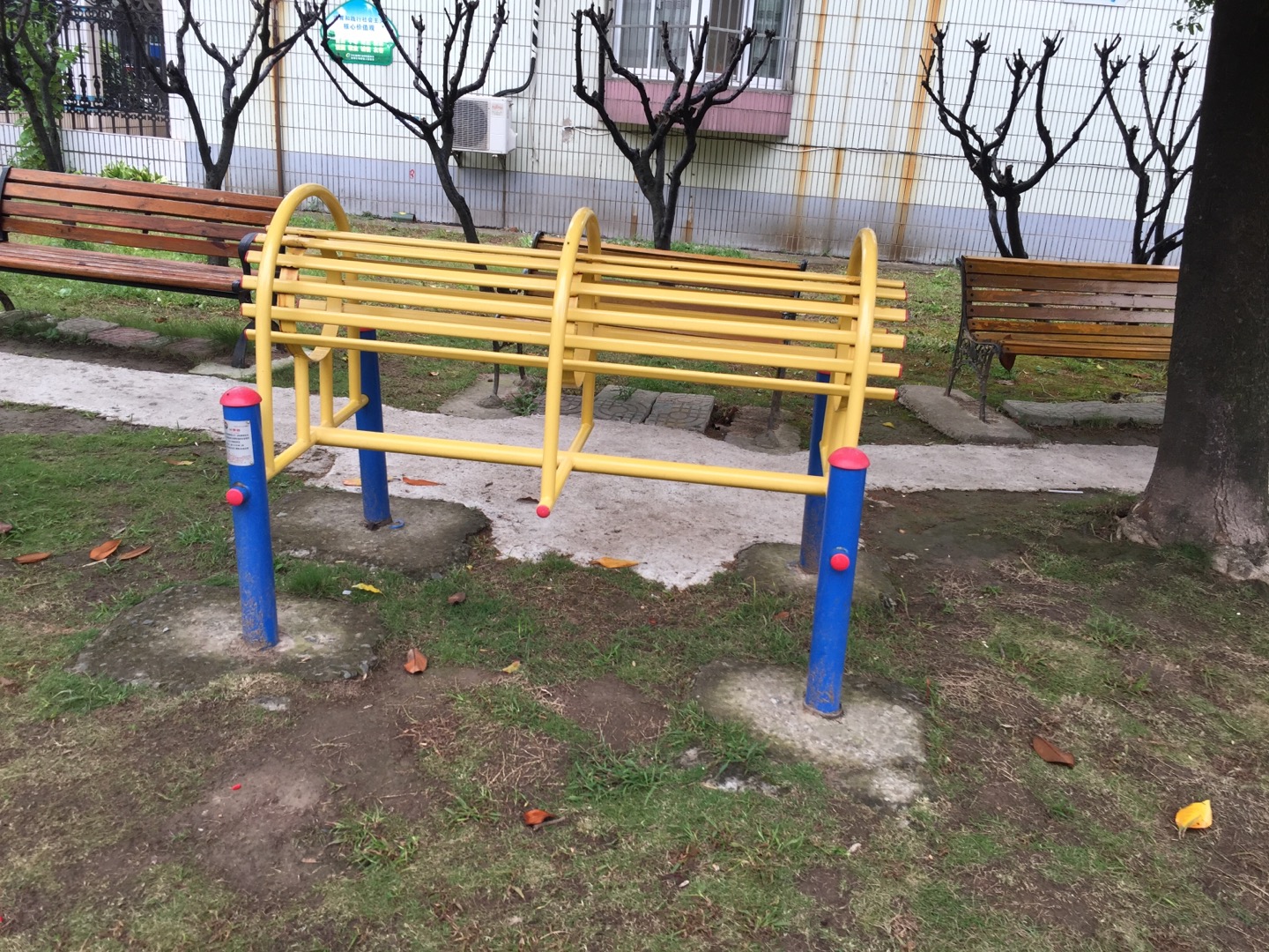 伸腰器