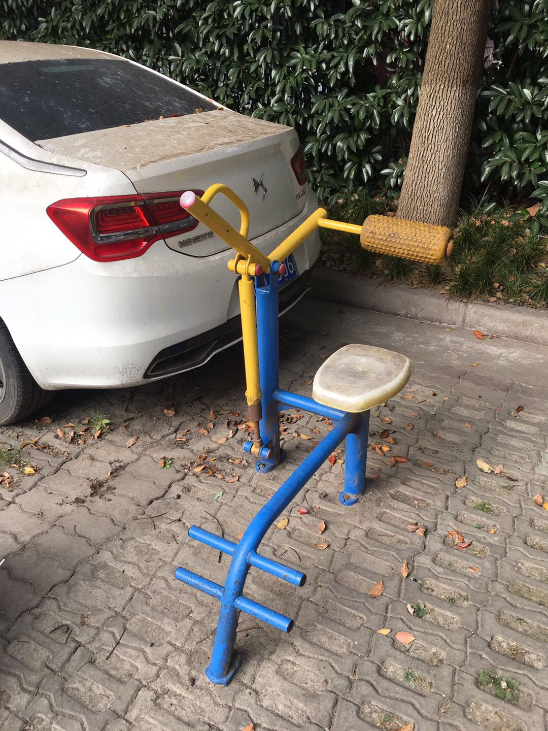 腹背鍛煉器