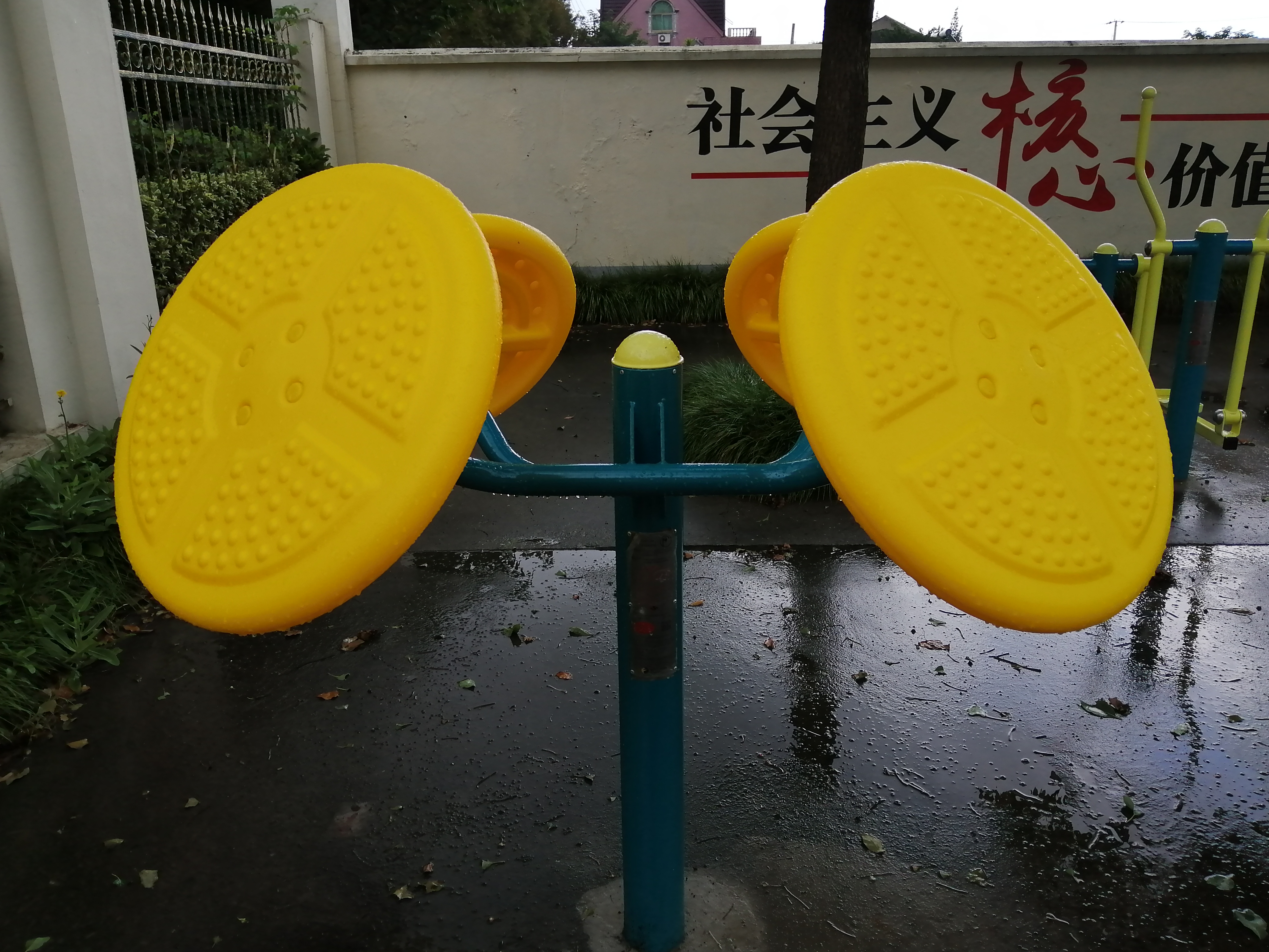 輪盤訓練器