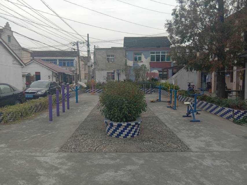 衛東村4組11號前健身路徑