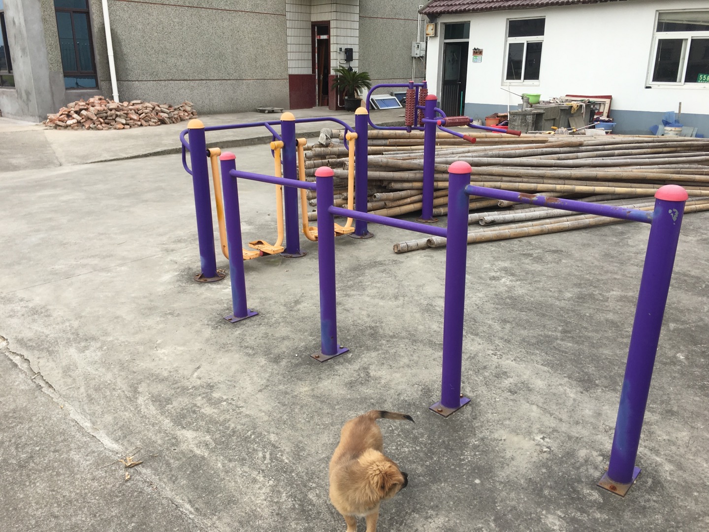 老港鎮建港村民委員會11組健身苑點