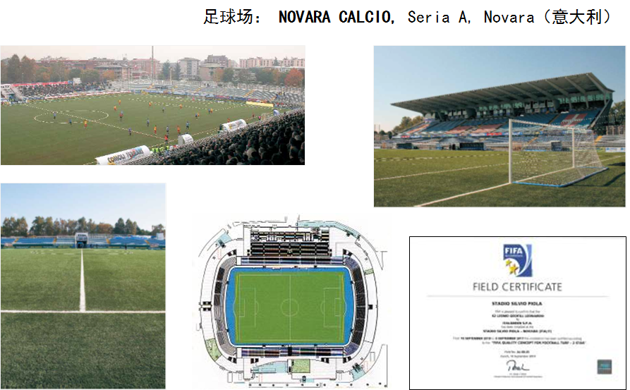 意甲Novara俱樂部的訓練場，FIFA2星