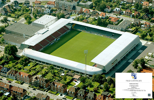 法魯姆公園足球場 (國際案例）