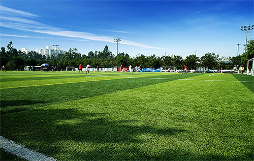 廣州市第65中學