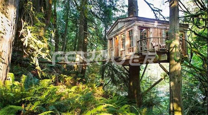 樹屋度假村|走進(jìn)大自然實(shí)現(xiàn)童年夢想