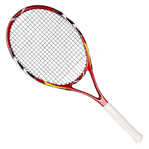 中極星ZJ202網球拍
