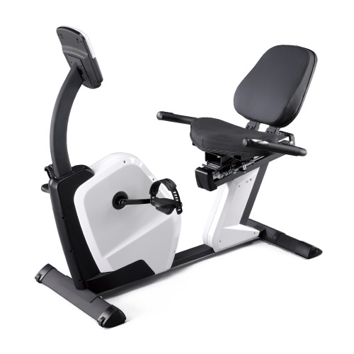 岱宇FR300家用健身車