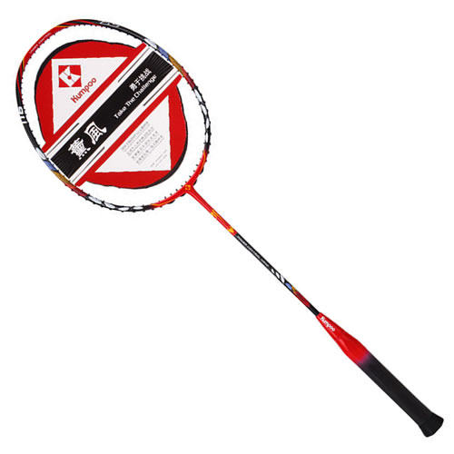 薰風FALCON隼羽毛球拍圖3