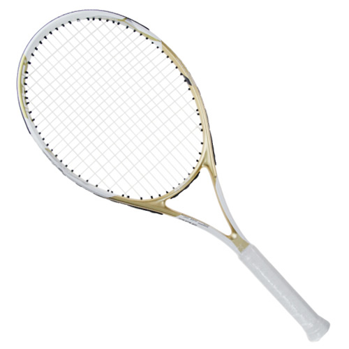 中極星ZJ302網球拍