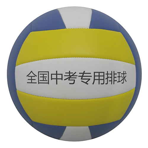 艾瑞斯ARS-560標準5號排球圖2