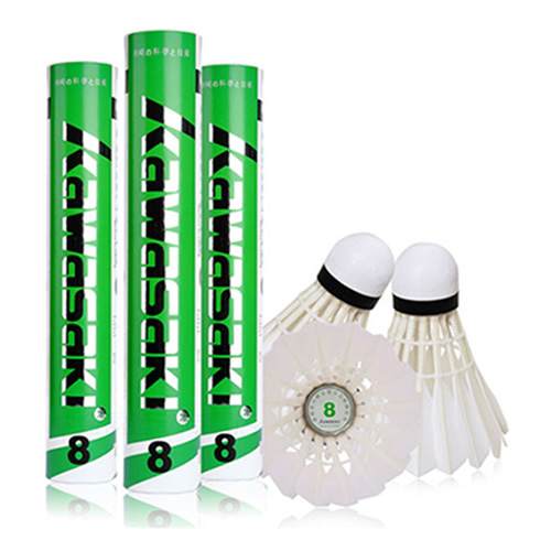 川崎訓(xùn)練8羽毛球