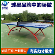 精品推薦學校體育器材,體育器材、全國就選東莞長安球星體育器材