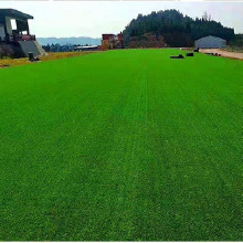 足球場人造草坪、幼兒園人造草坪、門球場人造草坪、人造草坪生產、人造草坪定制質量可靠廠家定制歡迎咨詢