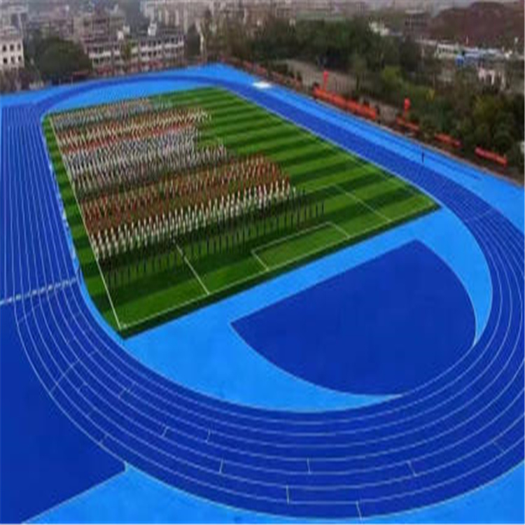 勝鑫 人造草坪定制人造草坪