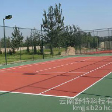 丙烯酸籃球場(chǎng)   環(huán)保型丙烯酸羽毛球場(chǎng)  硬地丙烯酸排球場(chǎng) 塑膠籃球場(chǎng)